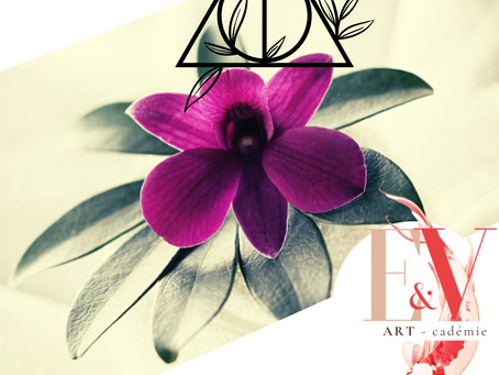 Que se passe-t-il lors d’un atelier d’écriture créative ?