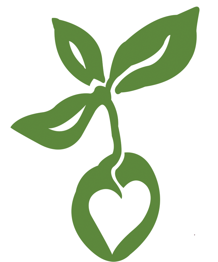 Seed Studio logo