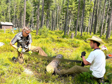 Maximizing Financial Efficiency for Environmental Nonprofits Strategies and Tips