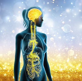 Design sans titre (2).png