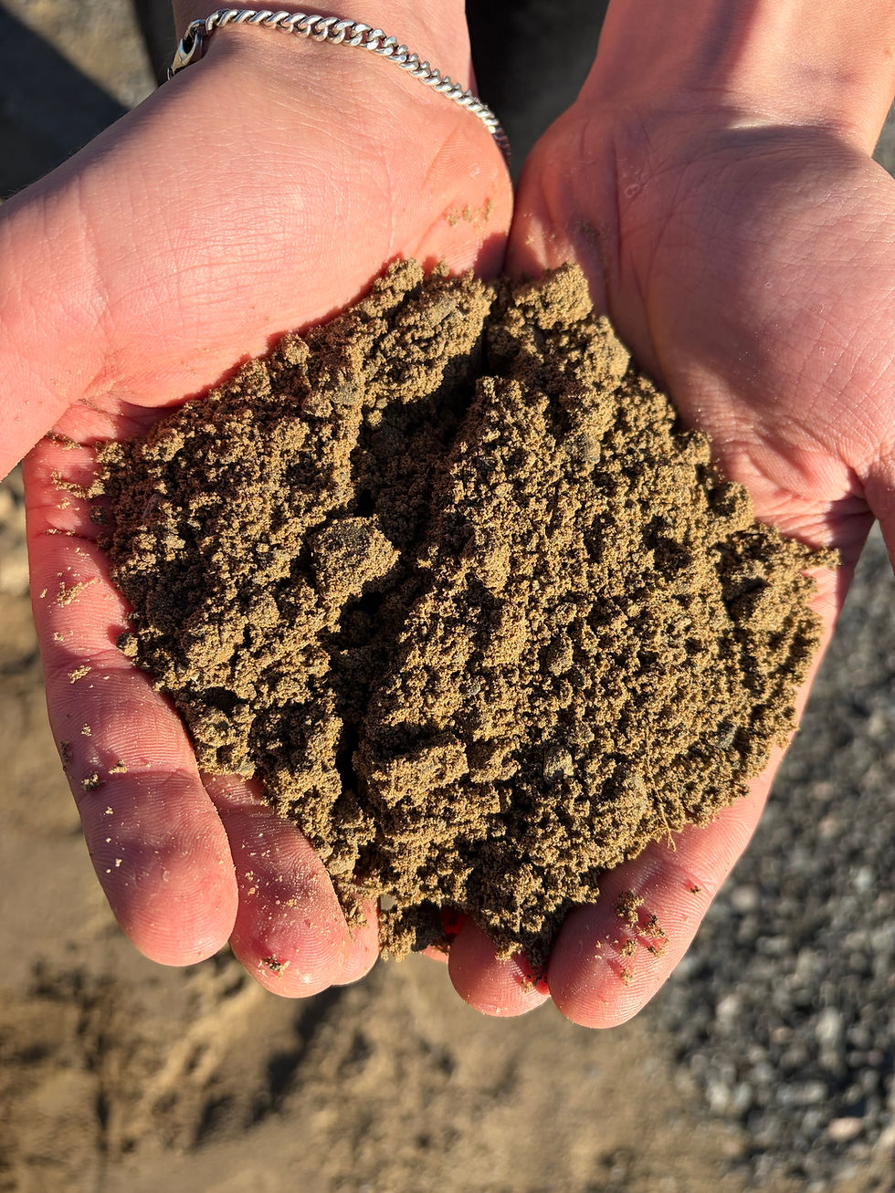 Equestrian Paddock Sand