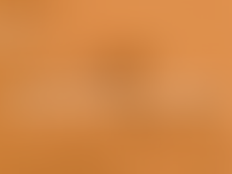 People in a meeting room listen to a presenter at a flip chart. Text: Nonprofit Operational Efficiency. Orange overlay, professional setting.