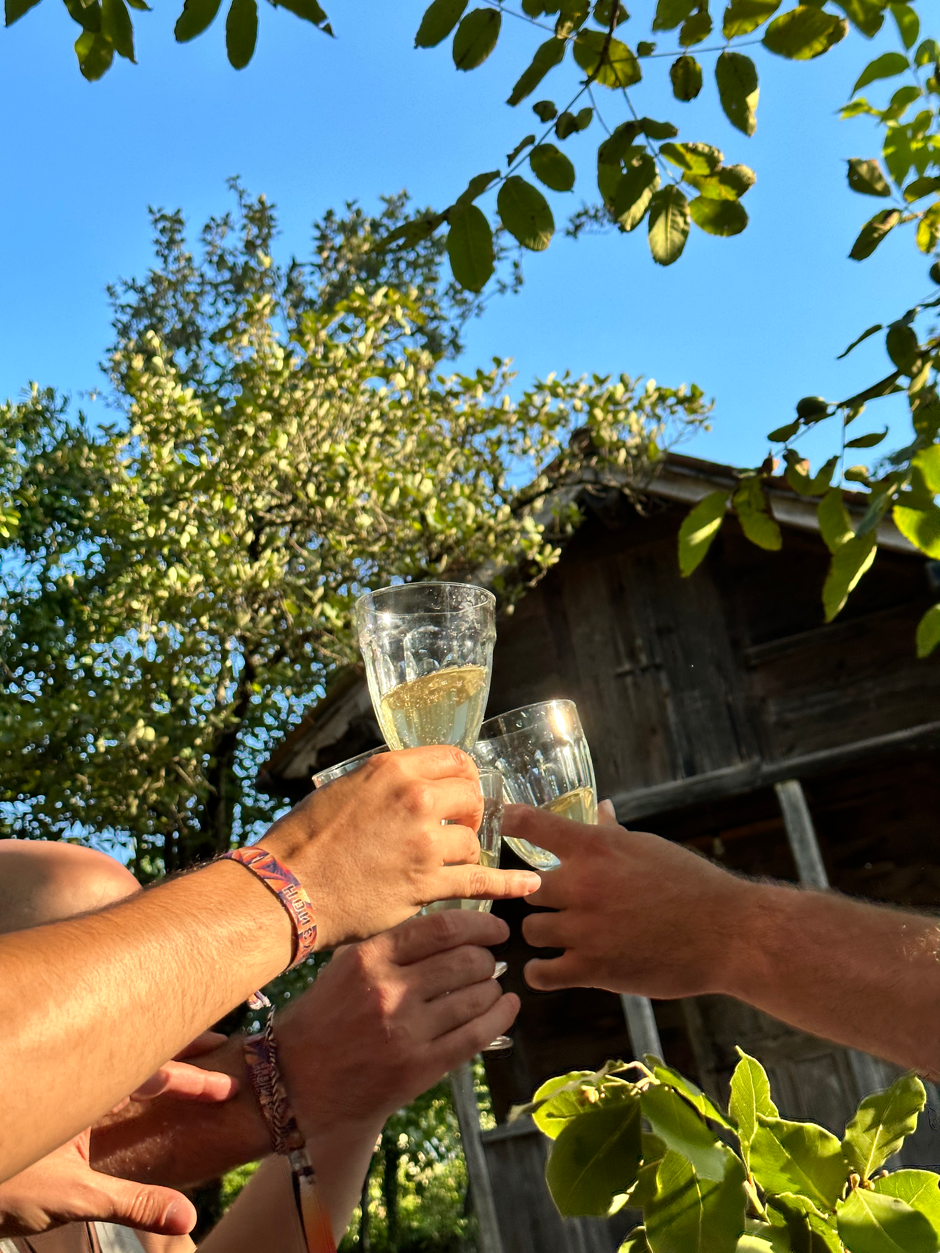 rdzlebi, makaridze winery in Terjola