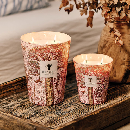 Baobab Collection Sacred Trees Summer Woroba Candle (U.P : $200
