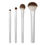 Thumbnail: Ecotools Precious Metals - Cheek + Eye Highlight Set