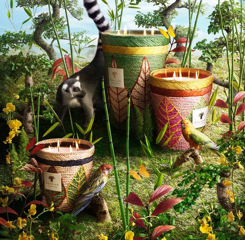 VIP【関税送料無料】希少 Baobab Collection Riviera Max 10 Baobab Collection Ravintsara - Lamba Max 10 Candle (U.P