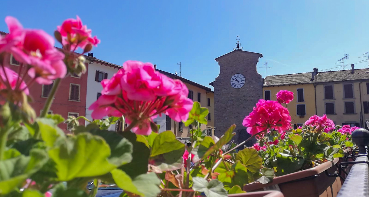 CASTIGLIONE.jpg