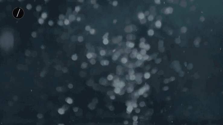 HOME_banner.gif