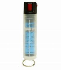 Defense Aerosol - Bodyguard Dog Repellent - 20g