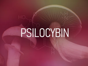 Psylutions Facilitator Insight Brief (Expanded)Early Response Signals, Precision Protocols & Integration Strategy