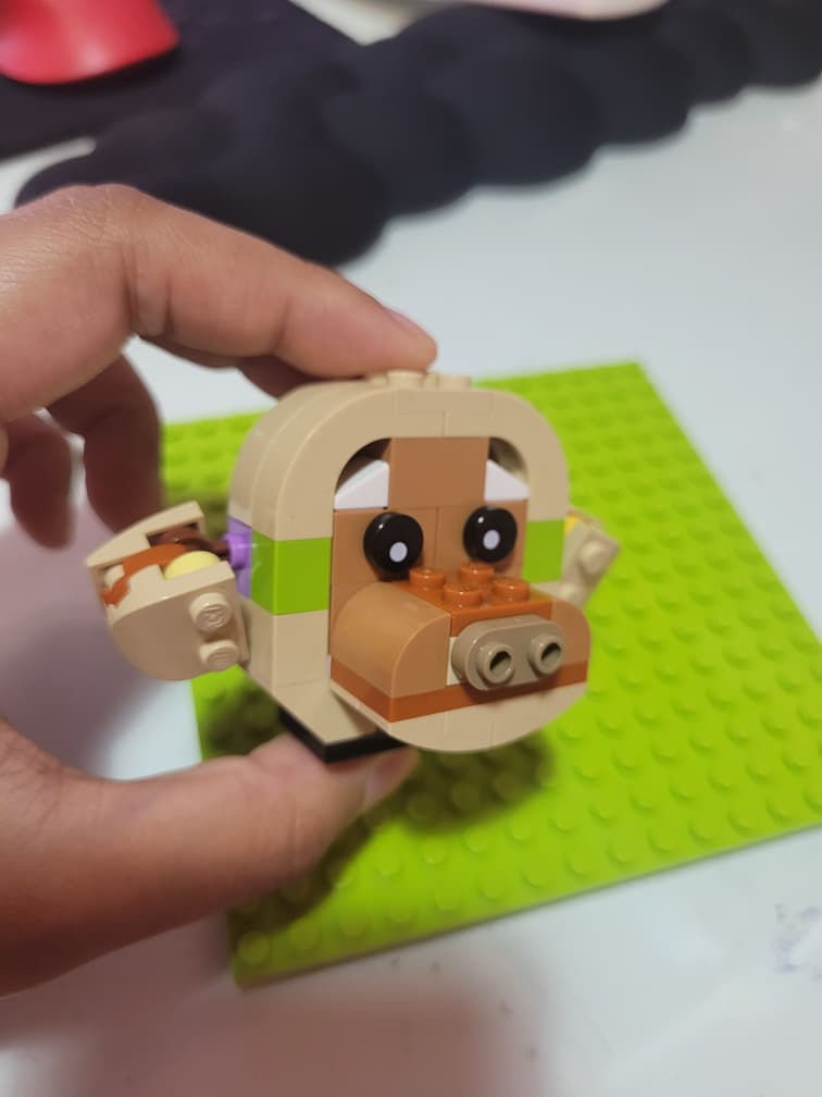 A monkey head (side)