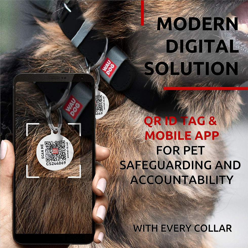 Thumbnail: Black Long Lasting Leather Dog Collar Adjustable for Medium Dogs 1215 inch Neck