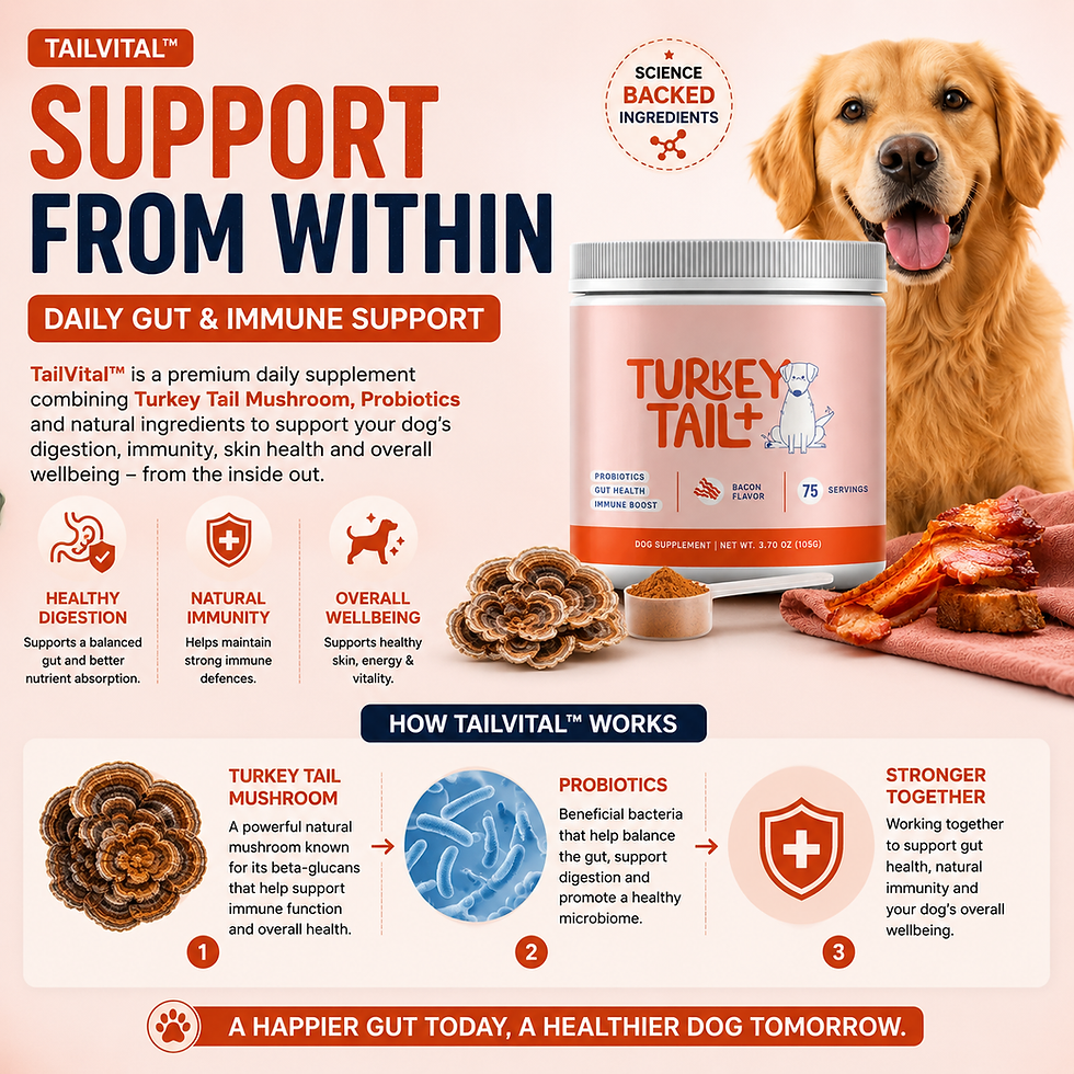 Thumbnail: TailVital™ Slogan  Healthy Gut. Stronger Immunity. Happier Dogs