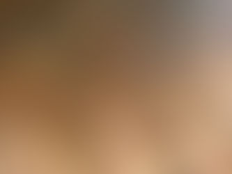 Indian ancient stone sculptures