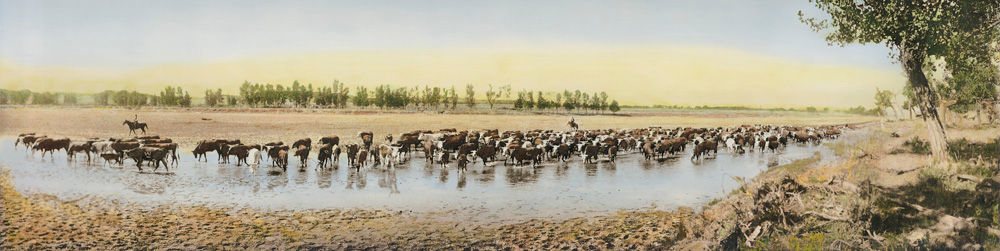 Throwing Herd on Water / Color