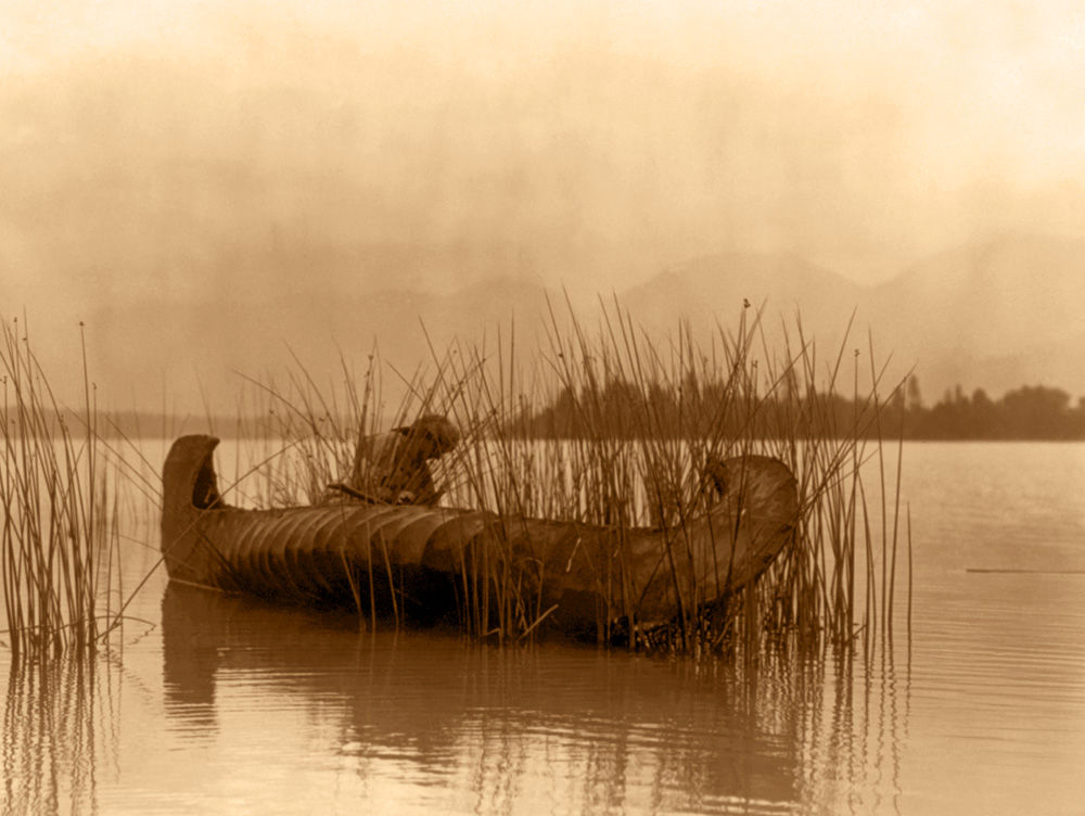 The Rush Gatherer / Gold