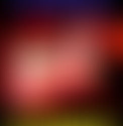 An addition to the Dracula mythos with "Stray" in Horror USA: California.