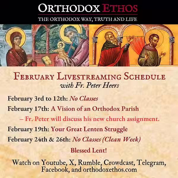 Livestreaming Schedule for Feb 2026.avif