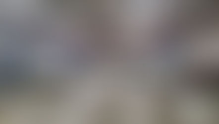 The Hunt for Auto Care