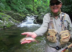 Guest with a Southern Appalachian Brook Trout on a Backcountry Guided Fly Fishing trip in the Mountains near Asheville, North Carolina
