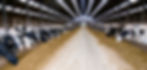 DSC_4412.jpeg