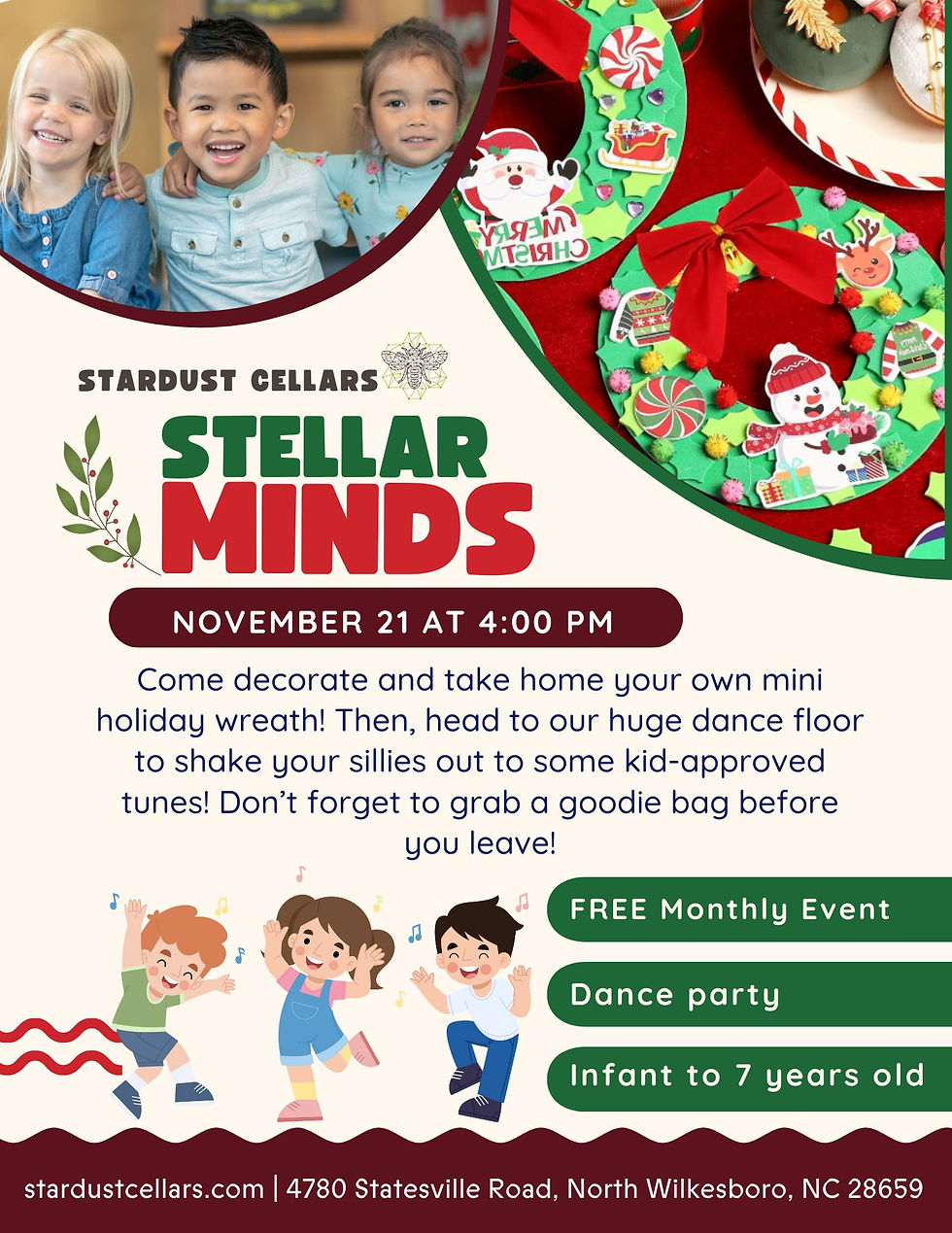 Steller Minds Kids Play Group