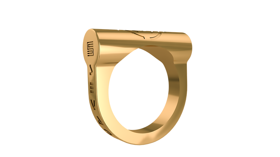 Thumbnail: SVD | Duccio 1319 / Ring / 18kt Yellow Gold
