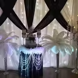 Drape backdrop