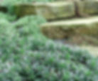 Rock landscaping