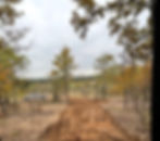 Land clearing for a road