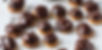 profitrol 1 Kg