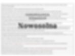Chronologia Historia Nowosolna screeny Nowosolnianka 01