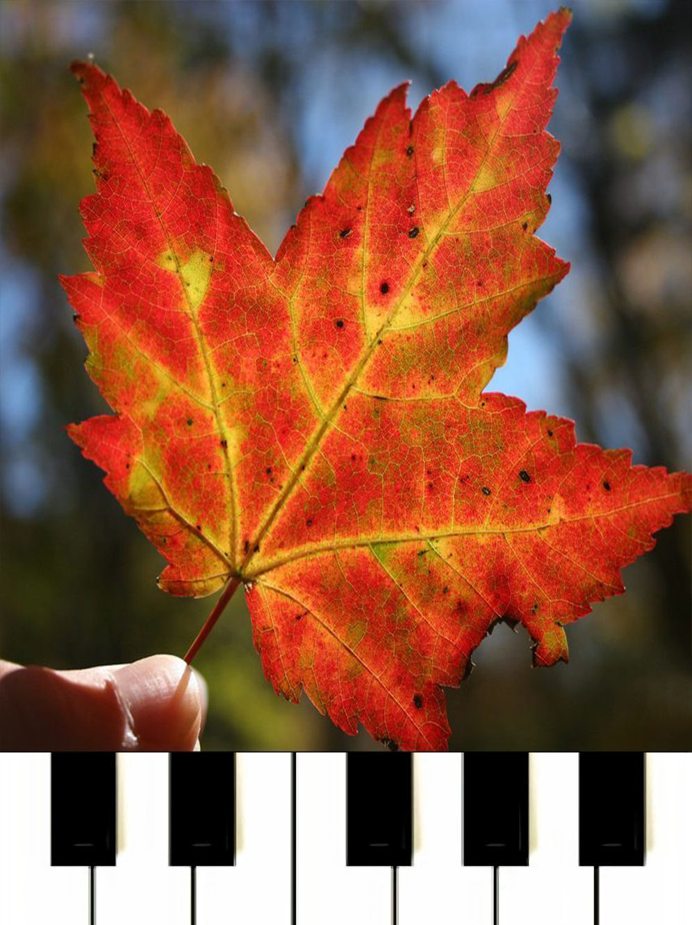 Autumn Leaves Jazz MIDI