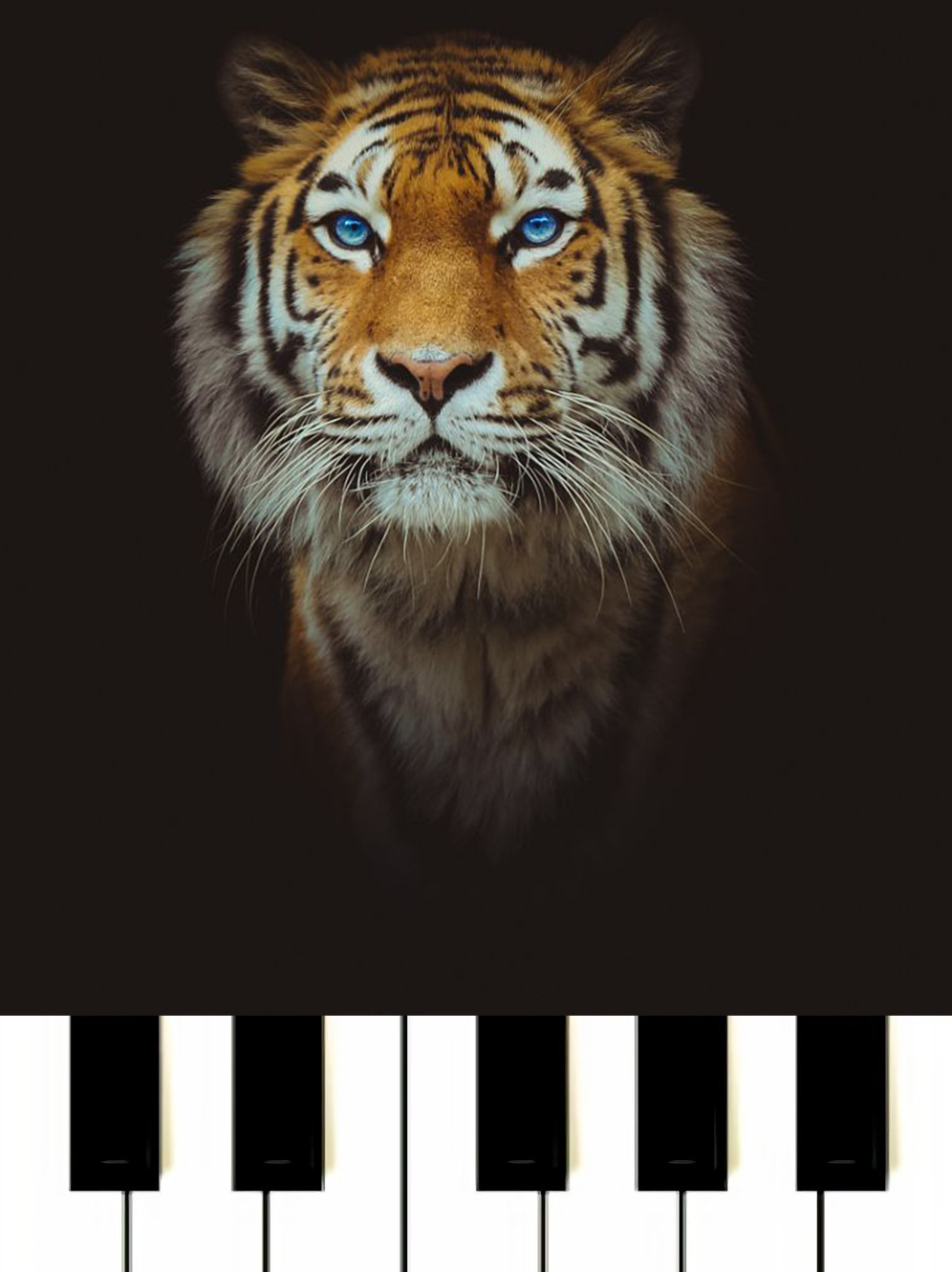 Survivor - Eye Of The Tiger MIDI