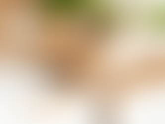 SKAIDULOS (FIBER) KONDITERIJOJE