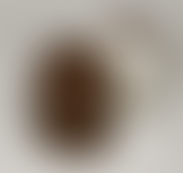 The Hungry Poet: My Life in Food — A Chocolate Mallow in the Tesco Car Park with Gus