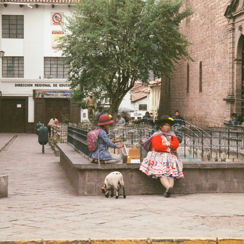 film photography by lila hathaway