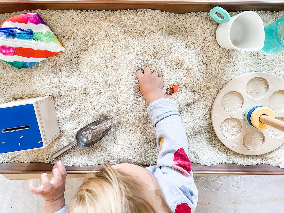 Sensory Bin