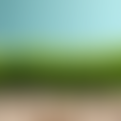 Expert Hedge Trimming Services on the Sunshine Coast