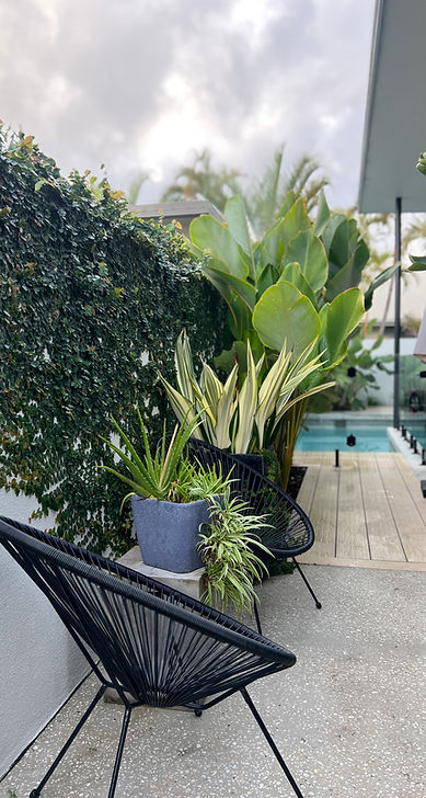 premium-garden-maintenance-services-sunshine-coast.jpg.jpg