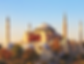 turkey.png