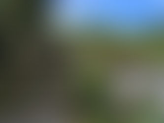 牧野ワールド1