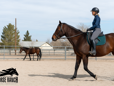 Horse Riding Lessons in Las Vegas for All Levels