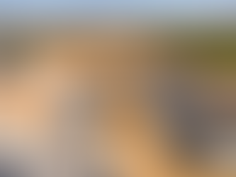 Equine biosecure facility at Las Vegas Horse Ranch.