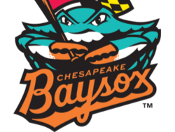 Father/Son Club: Baysox Baseball Game