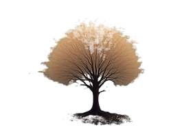 594449701_122109524151085188_70947047212