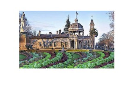 Bendigo vegetable growing vision-1.jpeg