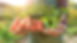 Diana_Noyce.jpg