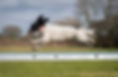 163501743_10103231320854512_731675740098