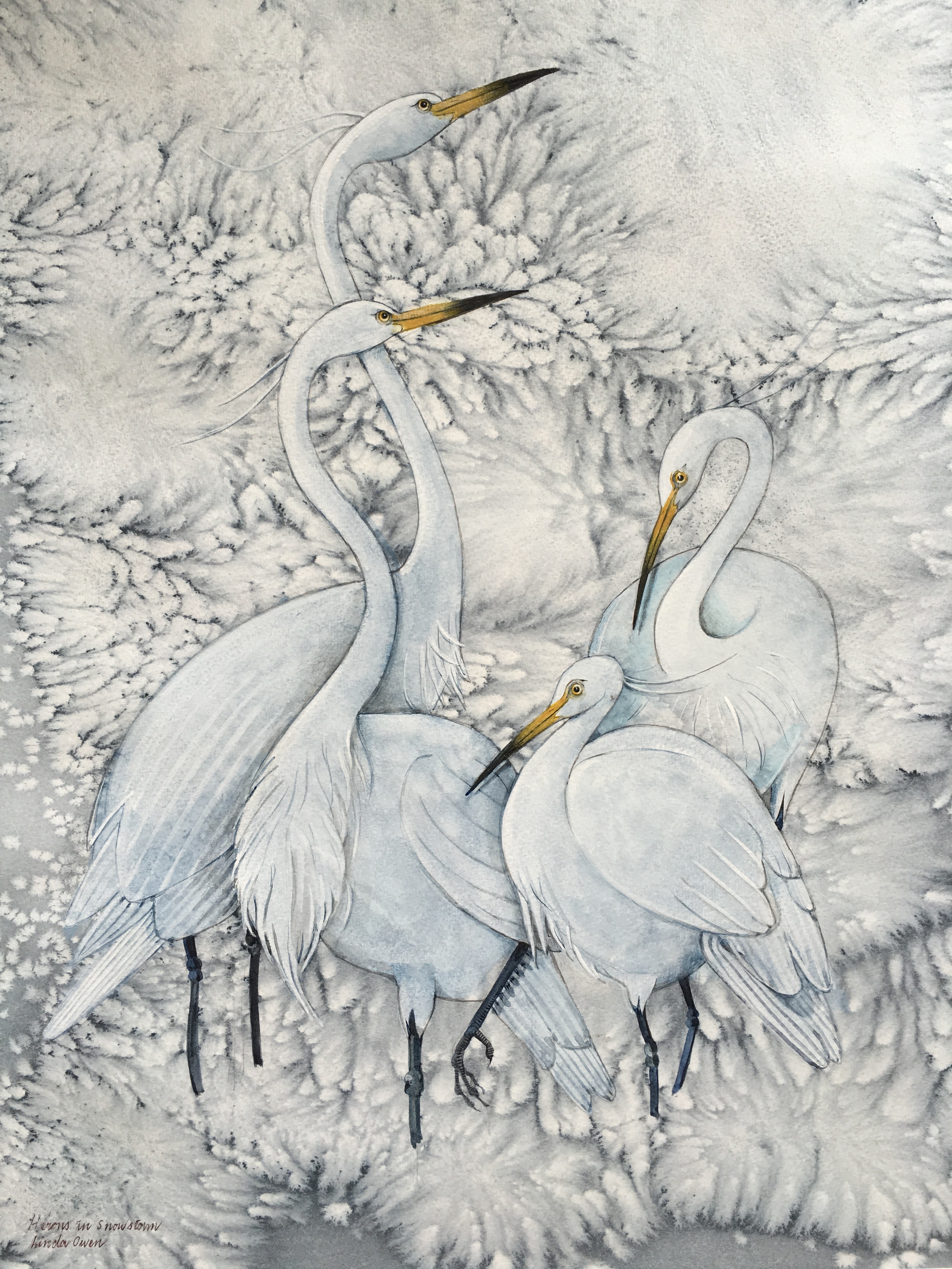Herons in a Snow storm - Linda Owen